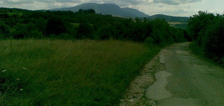 Bučanski kamen Bučanski kamen